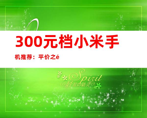 300元档小米手机推荐：平价之选，性价比出众
